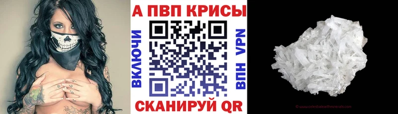 APVP СК  Закаменск 