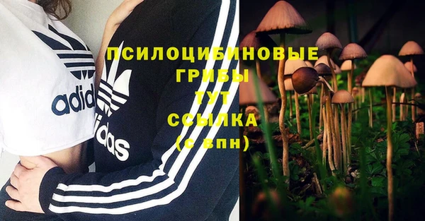 ПСИЛОЦИБИНОВЫЕ ГРИБЫ Алексин