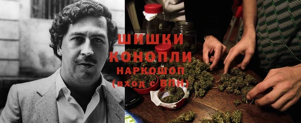 ПСИЛОЦИБИНОВЫЕ ГРИБЫ Алексин