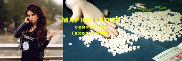 МДПВ Алзамай