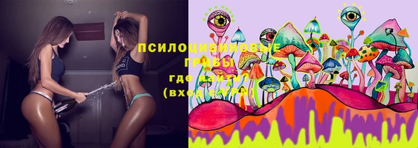 ПСИЛОЦИБИНОВЫЕ ГРИБЫ Алексин